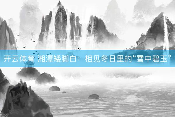 开云体育 湘潭矮脚白：相见冬日里的“雪中碧玉”