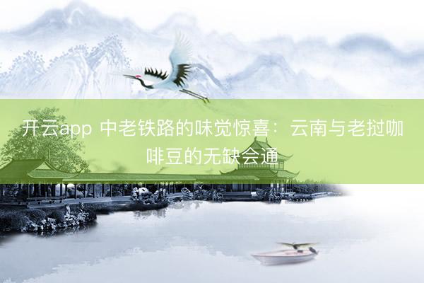 开云app 中老铁路的味觉惊喜：云南与老挝咖啡豆的无缺会通