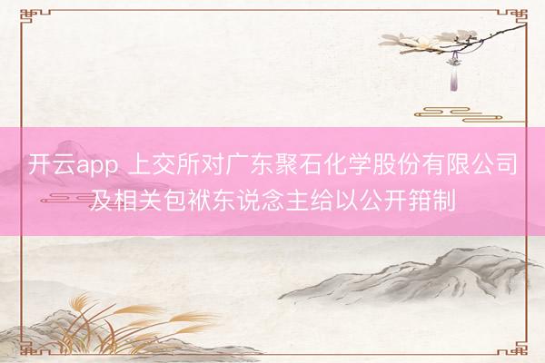 开云app 上交所对广东聚石化学股份有限公司及相关包袱东说念主给以公开箝制