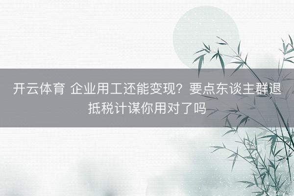 开云体育 企业用工还能变现？要点东谈主群退抵税计谋你用对了吗