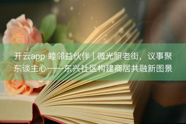 开云app 睦邻益伙伴 | 微光照老街,议事聚东谈主心——东兴社区构建商居共融新图景