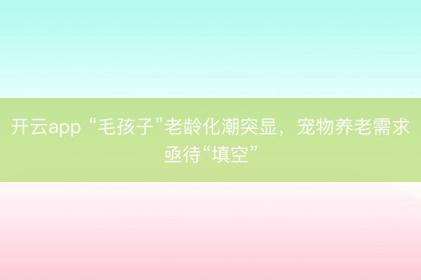 开云app “毛孩子”老龄化潮突显，宠物养老需求亟待“填空”