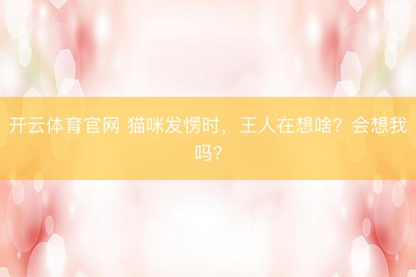 开云体育官网 猫咪发愣时，王人在想啥？会想我吗？