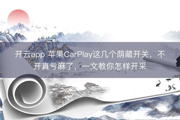 开云app 苹果CarPlay这几个荫藏开关，不开真亏麻了，一文教你怎样开采