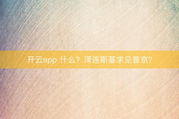 开云app 什么?泽连斯基求见普京?
