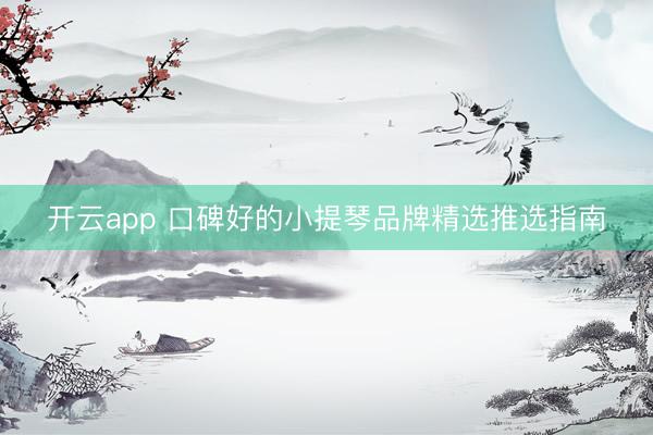 开云app 口碑好的小提琴品牌精选推选指南