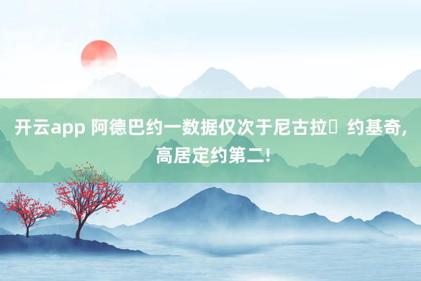 开云app 阿德巴约一数据仅次于尼古拉・约基奇， 高居定约第二!