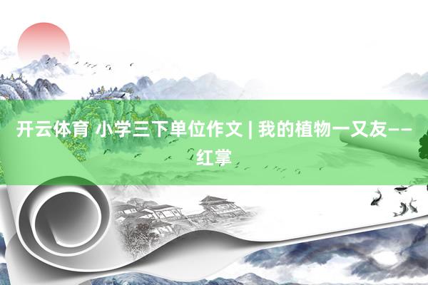 开云体育 小学三下单位作文 | 我的植物一又友——红掌