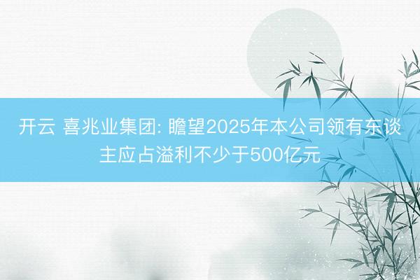 开云 喜兆业集团: 瞻望2025年本公司领有东谈主应占溢利不少于500亿元
