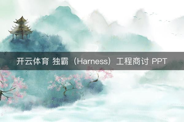开云体育 独霸(Harness)工程商讨 PPT