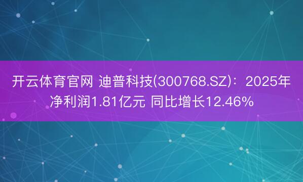 开云体育官网 迪普科技(300768.SZ)：2025年净利润1.81亿元 同比增长12.46%