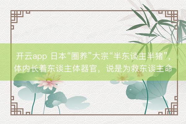 开云app 日本“圈养”大宗“半东谈主半猪”，体内长着东谈主体器官，说是为救东谈主命